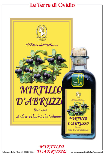 mirtillo